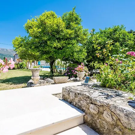 In Veliki With Wifi *