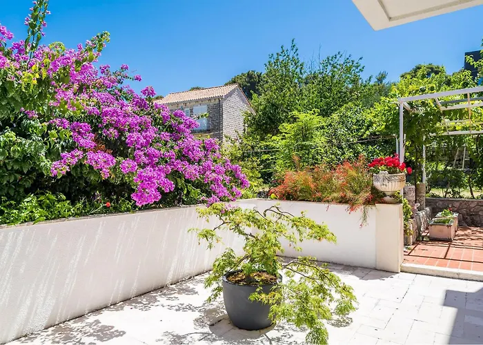 In Veliki With Wifi *